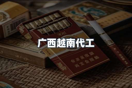 广西越南代工